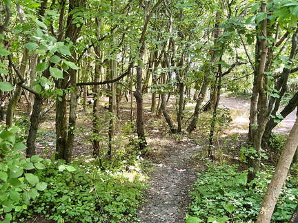 24-06-29 13-19-41 0014